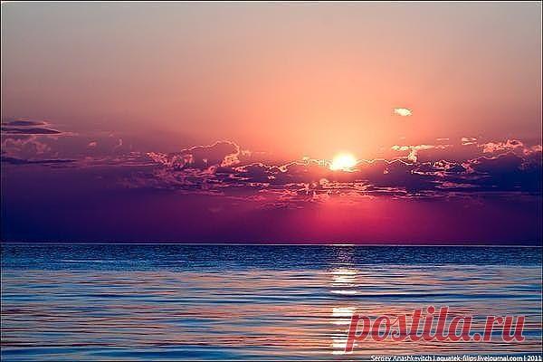 розовый закат