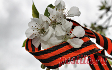 Download wallpaper victory day, st. george ribbon, flowers, holidays resolution 1280x800