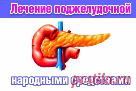 Лечение поджелудочной железы проверенными народными средствами. Причины заболевания - Полезные советы
