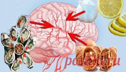 Продукты питания, которые обеспечивают сохранность сосудов и хорошее кровообращение