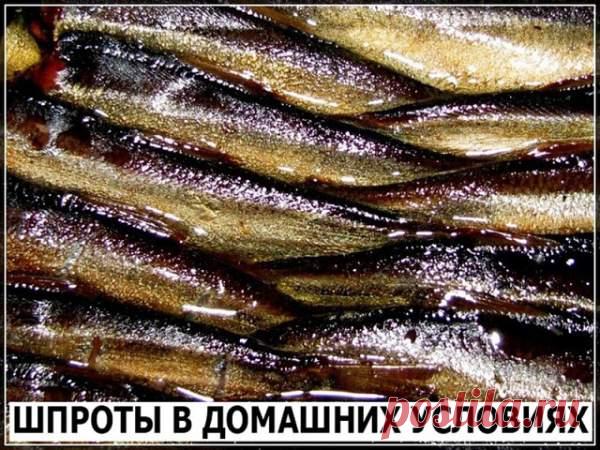 Шпроты - Простые рецепты Овкусе.ру