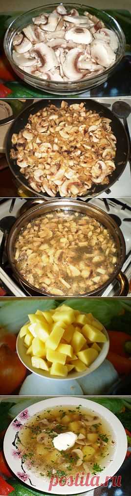 Грибной суп с сельдереем | Готовим просто и вкусно