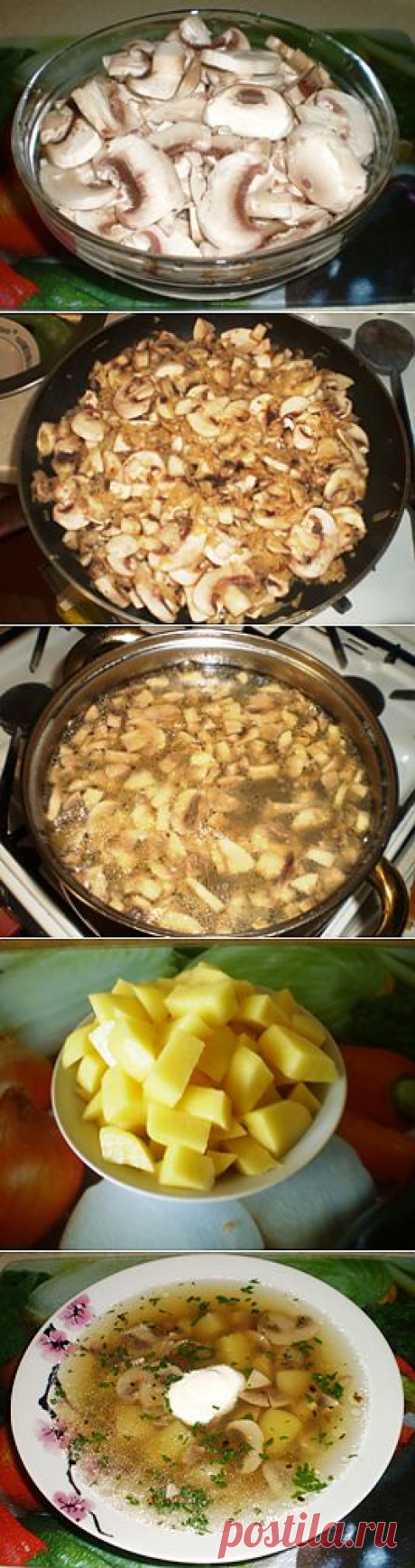 Грибной суп с сельдереем | Готовим просто и вкусно