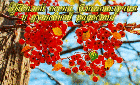 ЖЕЛАЮ ВАМ.......