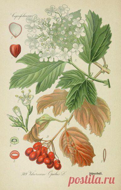 ~ MON PLAISIR ~ Вещи для души. Винтаж,Прованс.