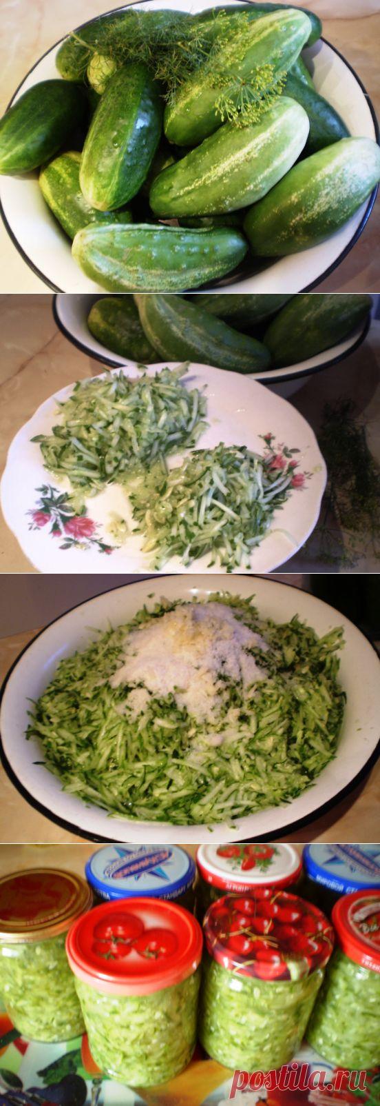 Огурцы переросшие – идеальная заготовка для рассольника | ЛЕТО В БАНКЕ