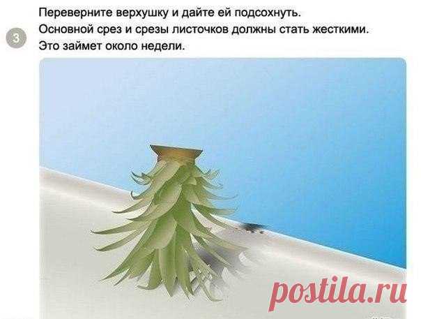dv4WY58W3J0.jpg (604×457)