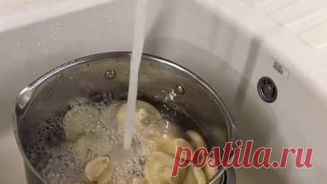 Соленые грузди 🍄‍🟫