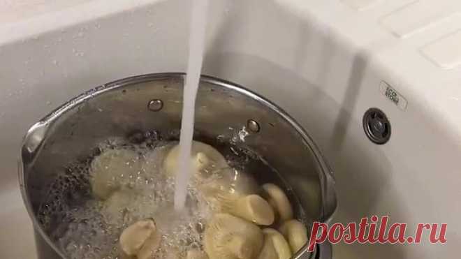 Соленые грузди 🍄‍🟫
