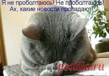 Я НЕ ПРОБОЛТАЮСЬ