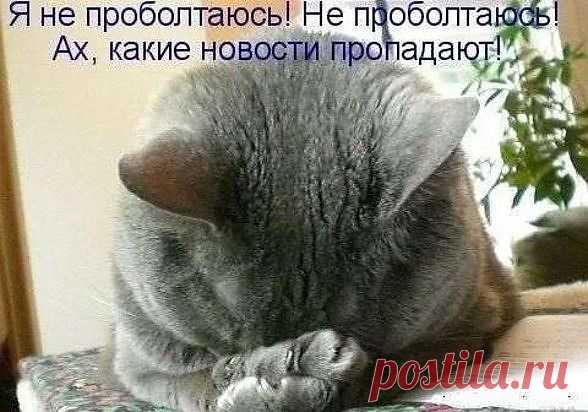 Я НЕ ПРОБОЛТАЮСЬ