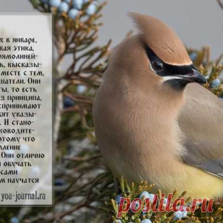 В каком месяце вы родились? Гороскоп характера по месяцам