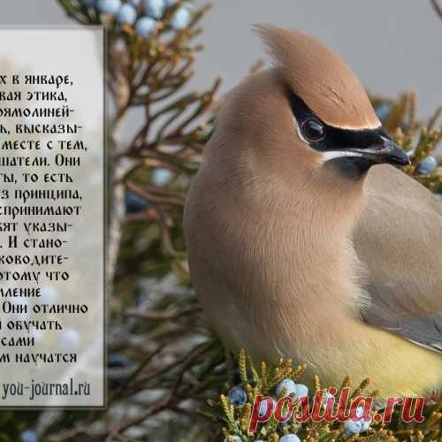 В каком месяце вы родились? Гороскоп характера по месяцам