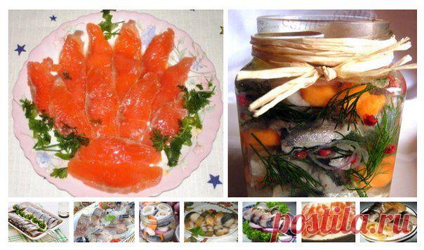 9 РЕЦЕПТОВ СОЛЕНОЙ, МАРИНОВАННОЙ И КОПЧЕННОЙ РЫБКИ. | ВКонтакте