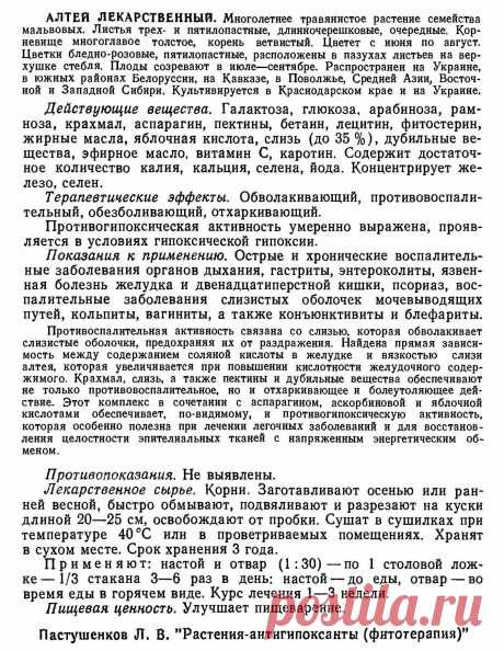 Алтей лекарственный