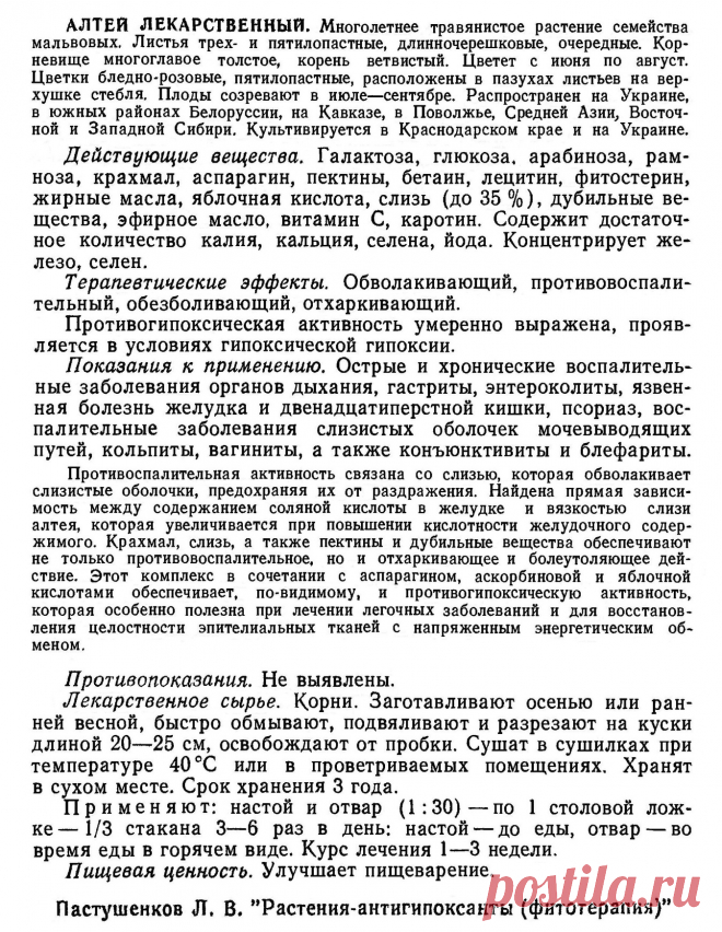 Алтей лекарственный
