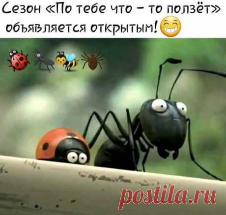 Есть такая примета - если машину помыть, то дождь пойдет...
