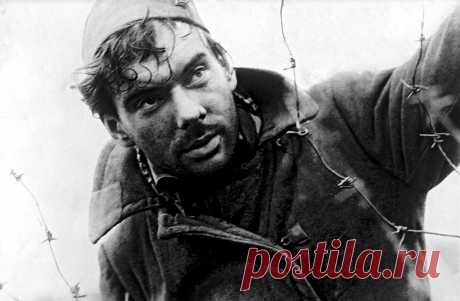 Пронзительные фильмы о войне: «Летят журавли» | Психологические тренинги и курсы он-лайн. Системно-векторная психология Юрия Бурлана