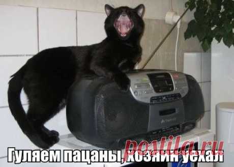 Сохранённые фотографии | 133 фотографии