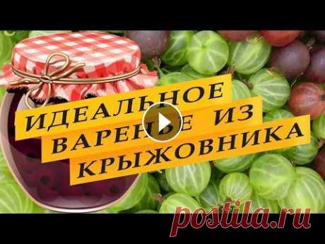 Варенье из крыжовника &quot;Интернациональное&quot;. Варенье из крыжовника &quot;интернациональное&quot;. Это мое любимое варенье из крыжовника и йошты с вишневыми листьями и мятой. Приготовить такое вар...
