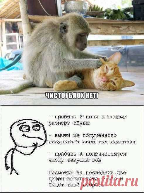 (99) Одноклассники