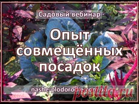 Совмещённые и уплотненные посадки