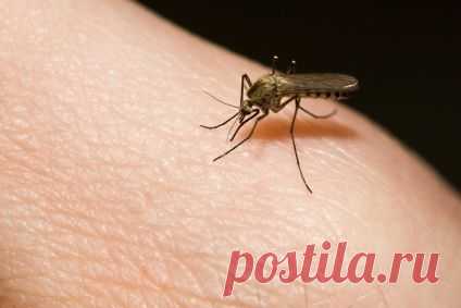 Для чего еще можно использовать зубную пасту — Делимся советами