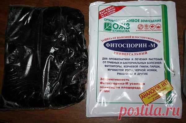 Фитоспорин-М -