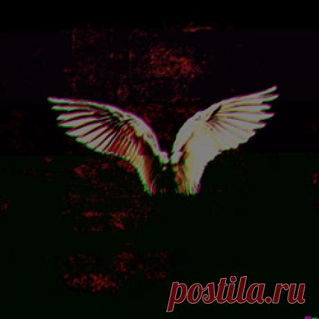 Blut Reaktor - Cathartic Angel Complex (Album Version) (2025) 320kbps / FLAC