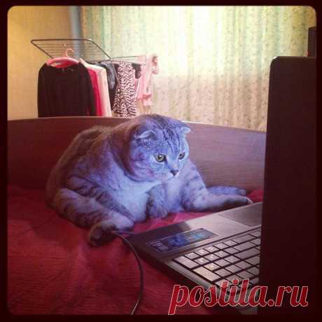 Интересные новости