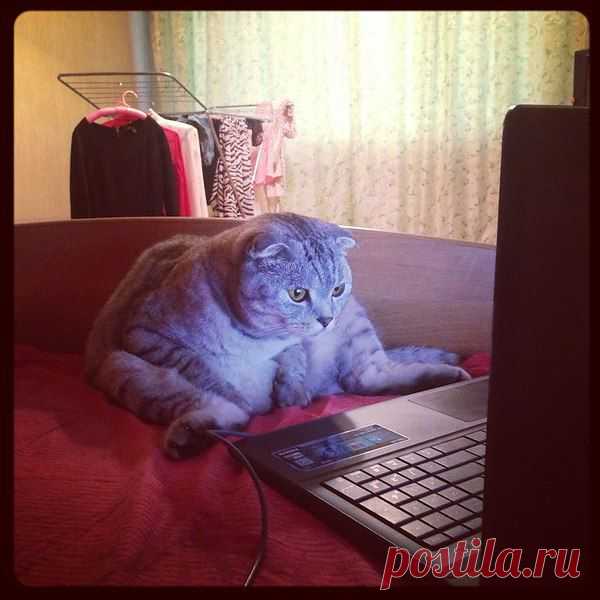 Интересные новости
