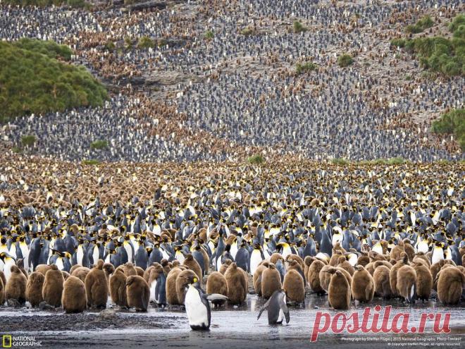 In this image submitted to the National Geographic Photo Contest, humans are the minority: