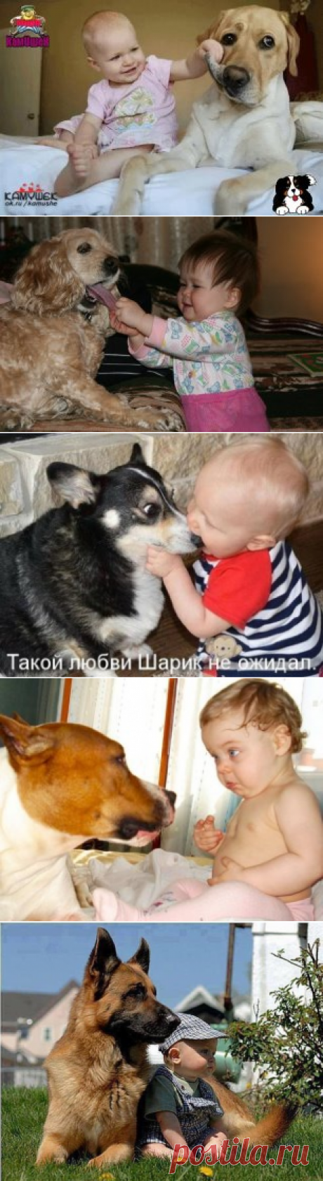 (73) Одноклассники