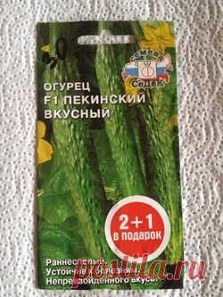 Китайский огурец. 6 серия ЗАКЛЮЧИТЕЛЬНАЯ Кукарача Филмз презентует: Группа Наши грядки