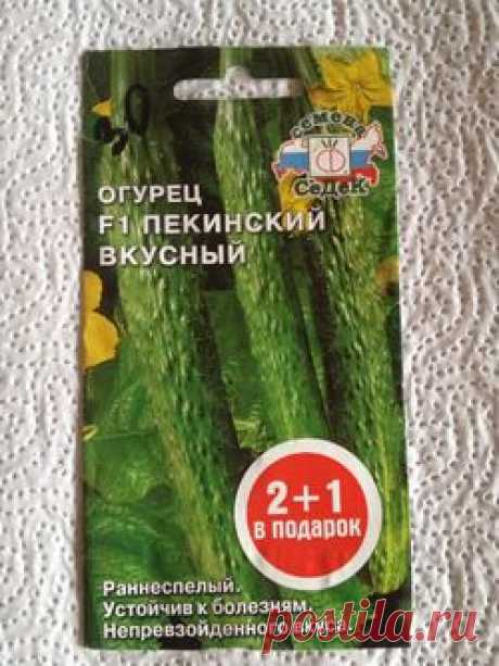 Китайский огурец. 6 серия ЗАКЛЮЧИТЕЛЬНАЯ Кукарача Филмз презентует: Группа Наши грядки
