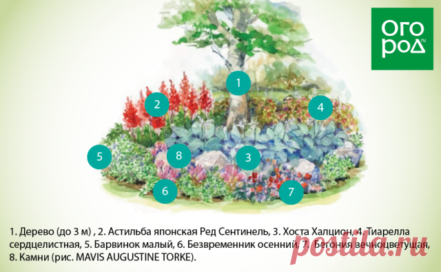 Маленький цветник – 3 идеи для солнца и тени (схемы и растения) | Цветники и клумбы (Огород.ru)