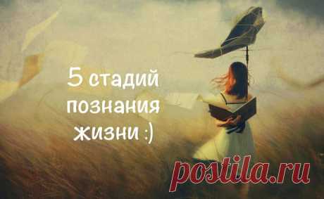 Рост человека познается по его интересам. В юмористической форме эта схема выглядит приблизительно так: Стадия первого порядка: купить большой дорогой автомобиль и Ролекс, читать Коэльо, презирать Донцову, любить худенькую блондинку с пышной грудью. Стадия второго порядка: купить маленький стильный автомобиль и часы Лонжин. Читать Умберто Эко. Презирать Коэльо, любить ироничную брюнетку. Стадия третьего порядка: ездить на метро и такси, потому что так быстрее и дешевле, носить Свотч, читать…