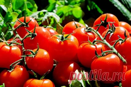 Томаты впрок. Рецепты от простого до изысканного | Кухня | АиФ Барнаул