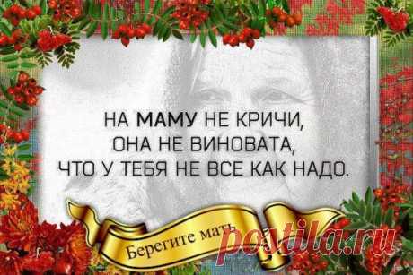 (13) Одноклассники