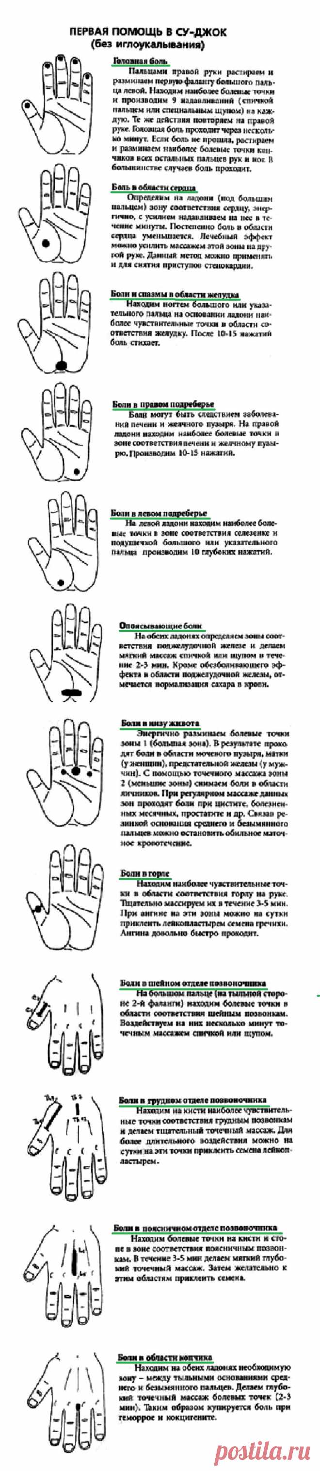 Первая помощь в су-джок (без иглоукалывания)