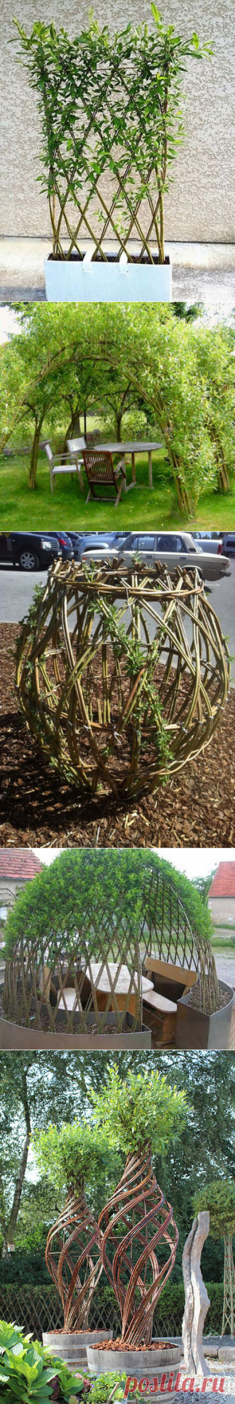 Сосед нарезал палочки вербы и подождал, пока они укоренятся, а затем начал творить | Идеи для дома | Яндекс Дзен