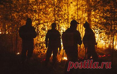 Правительство возместит регионам расходы на тушение и мониторинг лесных пожаров. Кабмин направит 2,6 млрд рублей