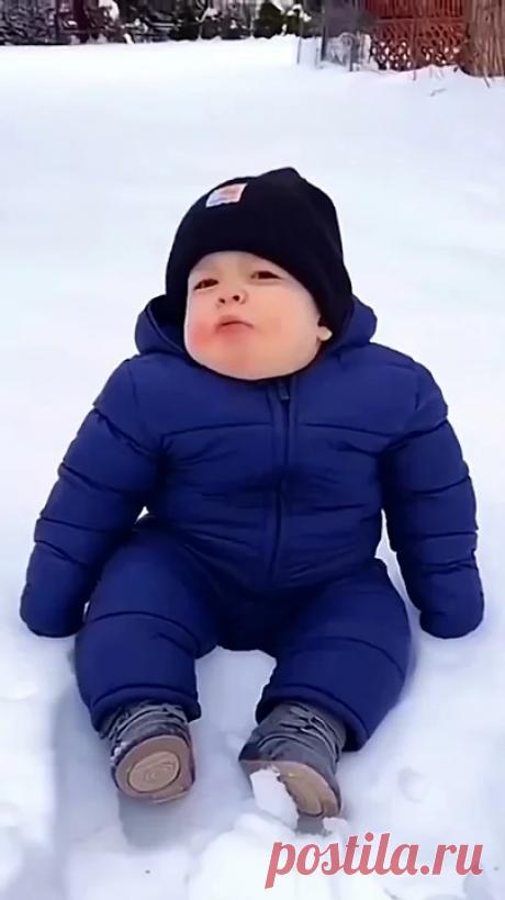 Котята- косята.#котики#юмор#уморительные