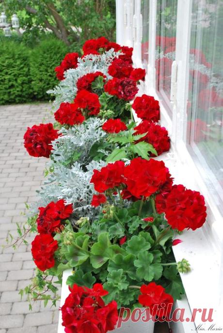 (300) DSC_4814.jpg 1,071×1,600 pixels | Landscaping