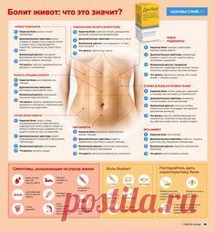 ДИАГНОСТИКА БОЛЕЗНЕЙ ЖИВОТА