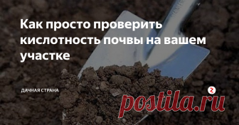 Как просто  проверить кислотность почвы на вашем участке  Какие овощи любят кислую почву, а какие - просто не хотят на ней расти