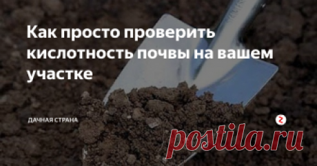 Как просто  проверить кислотность почвы на вашем участке  Какие овощи любят кислую почву, а какие - просто не хотят на ней расти