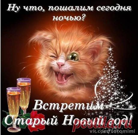 Вера Карпушина