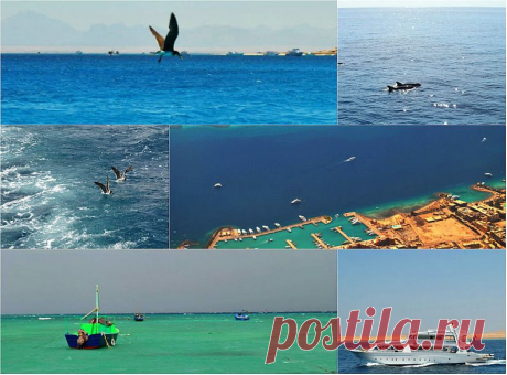 Дайвинг в Хургаде – Google+