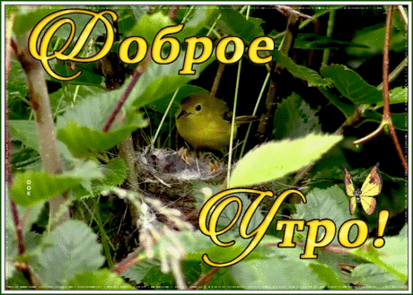 Очаровательная открытка доброе утро